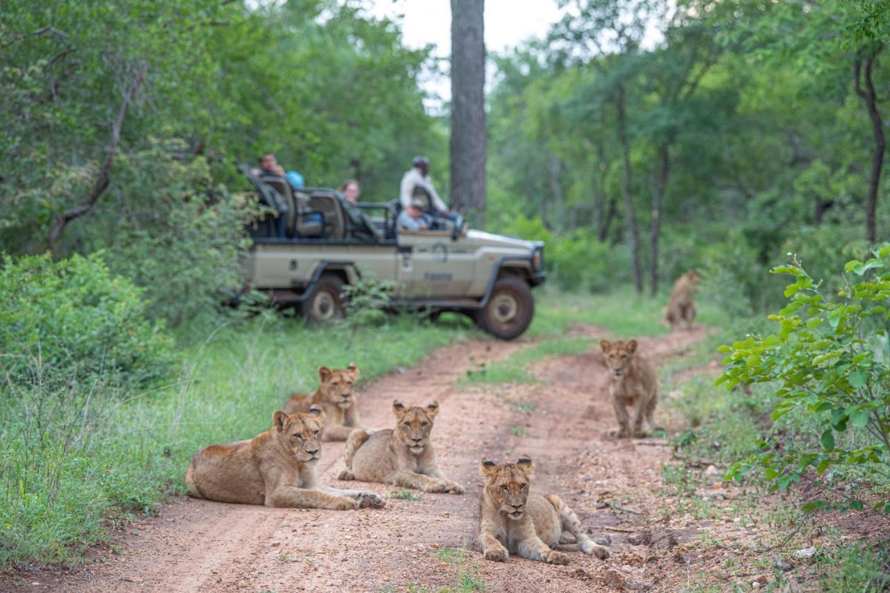 Kapama Karula Villa Kapama Game Reserve Dış mekan fotoğraf
