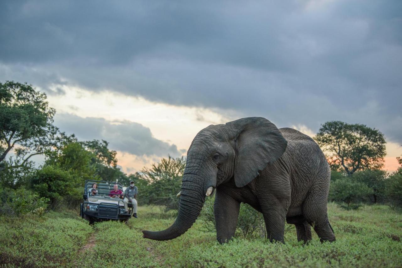 Kapama Karula Villa Kapama Game Reserve Dış mekan fotoğraf