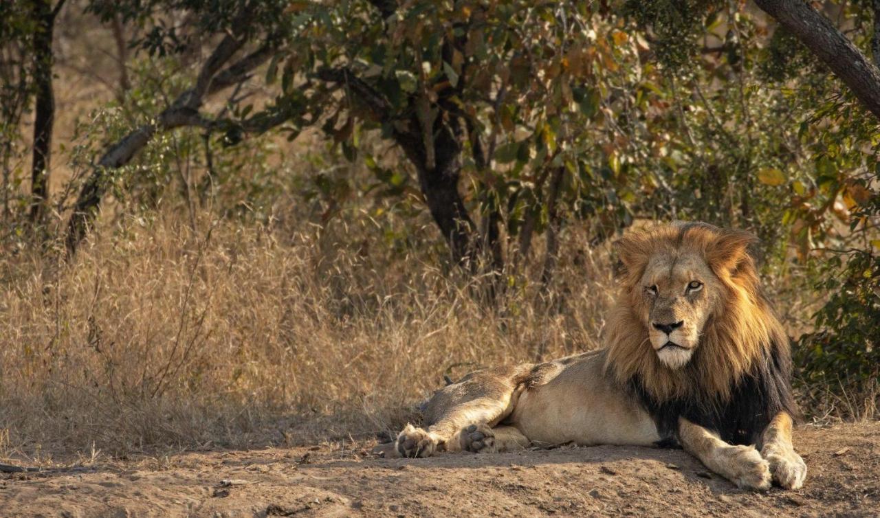 Kapama Karula Villa Kapama Game Reserve Dış mekan fotoğraf