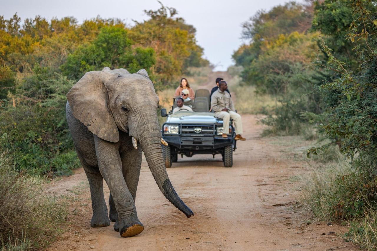 Kapama Karula Villa Kapama Game Reserve Dış mekan fotoğraf